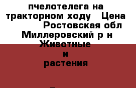 пчелотелега на тракторном ходу › Цена ­ 60 000 - Ростовская обл., Миллеровский р-н Животные и растения » Другие животные   